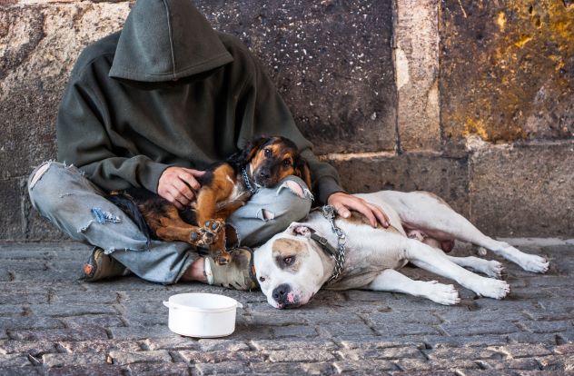 Person experiencing homelessness with his two dogs