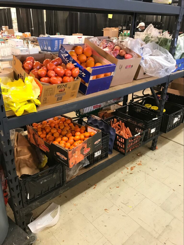 boxes of tomatoes, oranges, carrots and apples on a table that have been rescued from corporate food donations and will address food insecurity